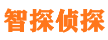 潜山市侦探调查公司